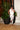 Ivory Dynasty Feather Jumpsuit White