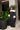 Snowfall Doll Fur Trim Dress Black