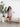 Safari Doll Short Set