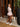 Wild Doll Lounge Set
